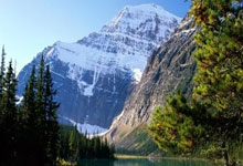 开云体育登录-阿斯顿马丁轻取梅赛德斯，阿隆索统治全场