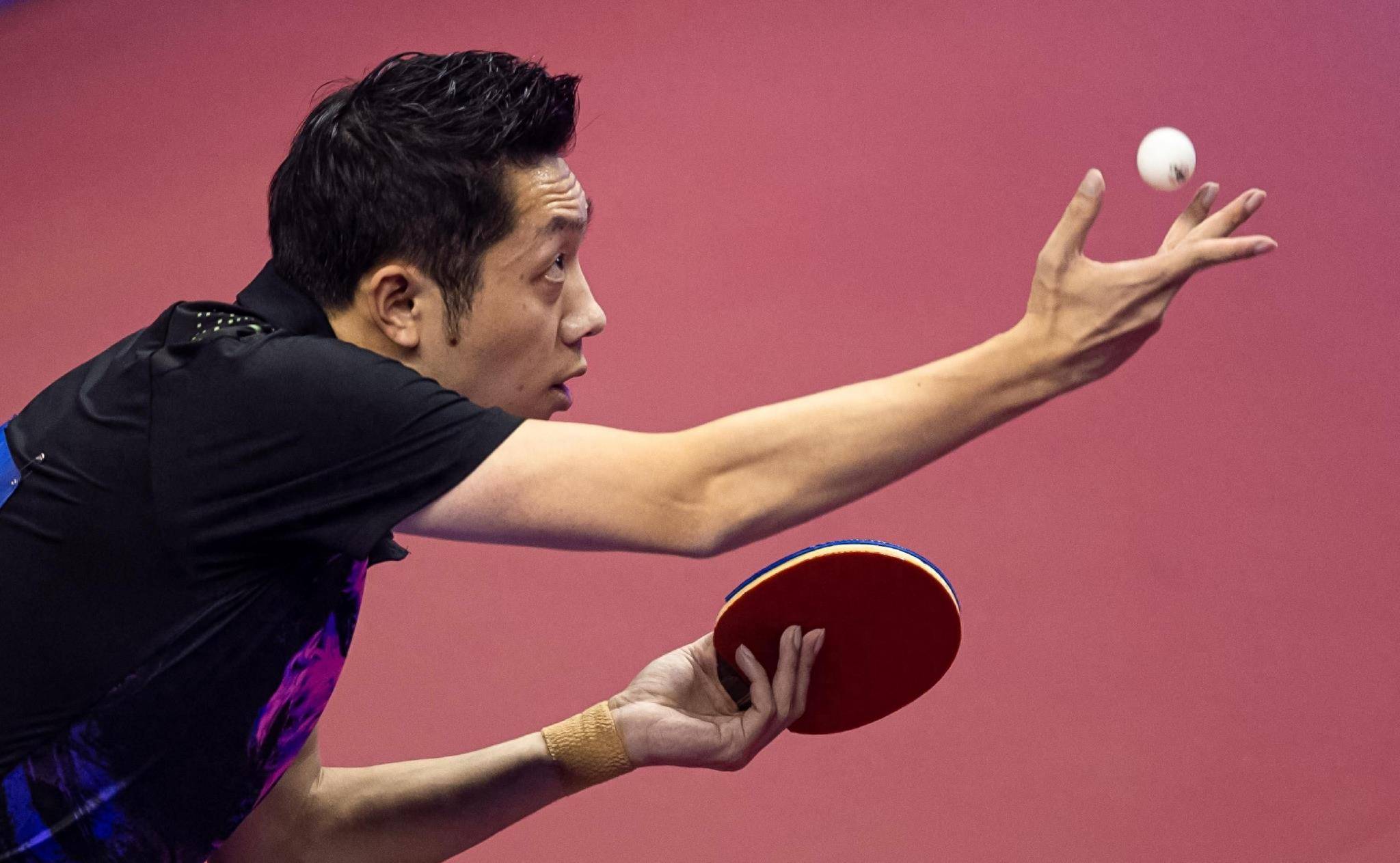 日本乒乓球队强势奥地利乒乓球队，许昕高光表现的简单介绍