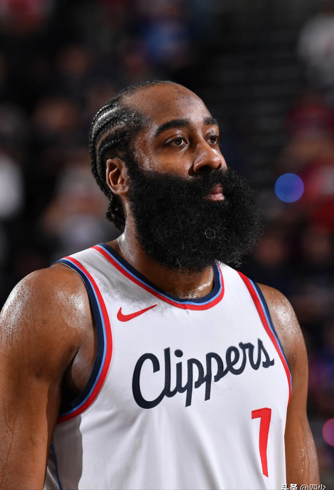 关于公牛血洗勇士B队,哈登打破历史纪录的信息 关于公牛血洗勇士B队,哈登打破历史纪录的信息