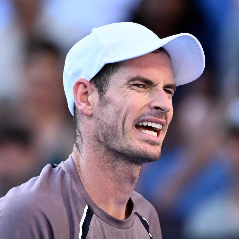 澳网绝杀戴维斯杯,穆雷点燃赛场 澳网绝杀戴维斯杯,穆雷点燃赛场