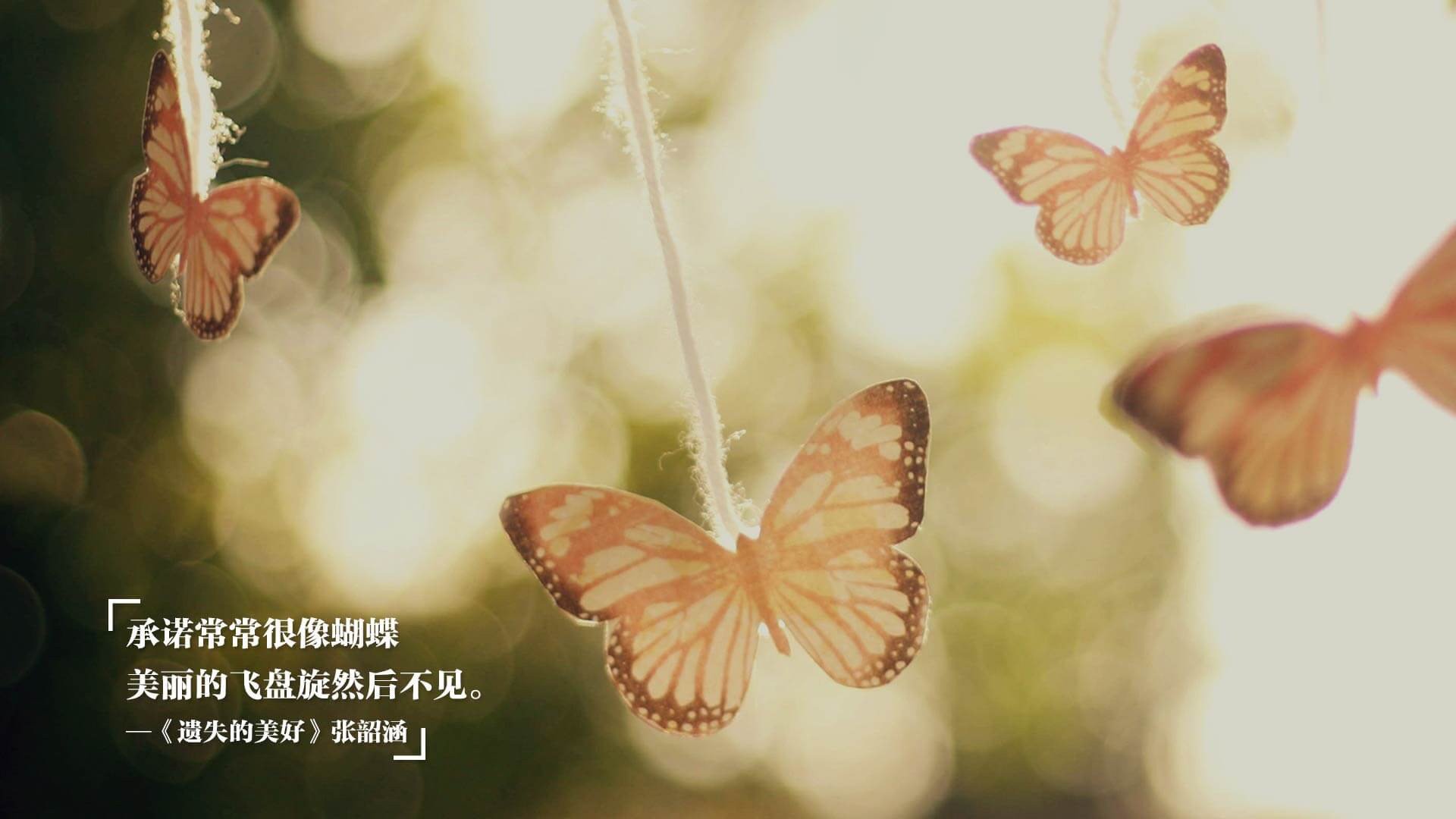 霍勒迪稳如磐石持续输出,湖人主场大胜步行者