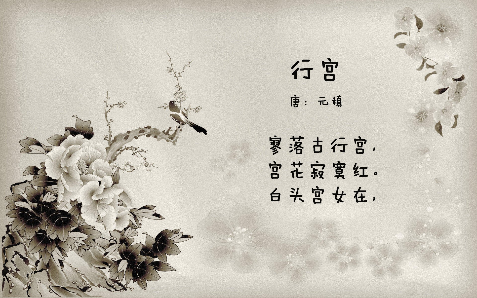 穆勒成为胜负手，澳大利亚战术洪流冲垮中国长城