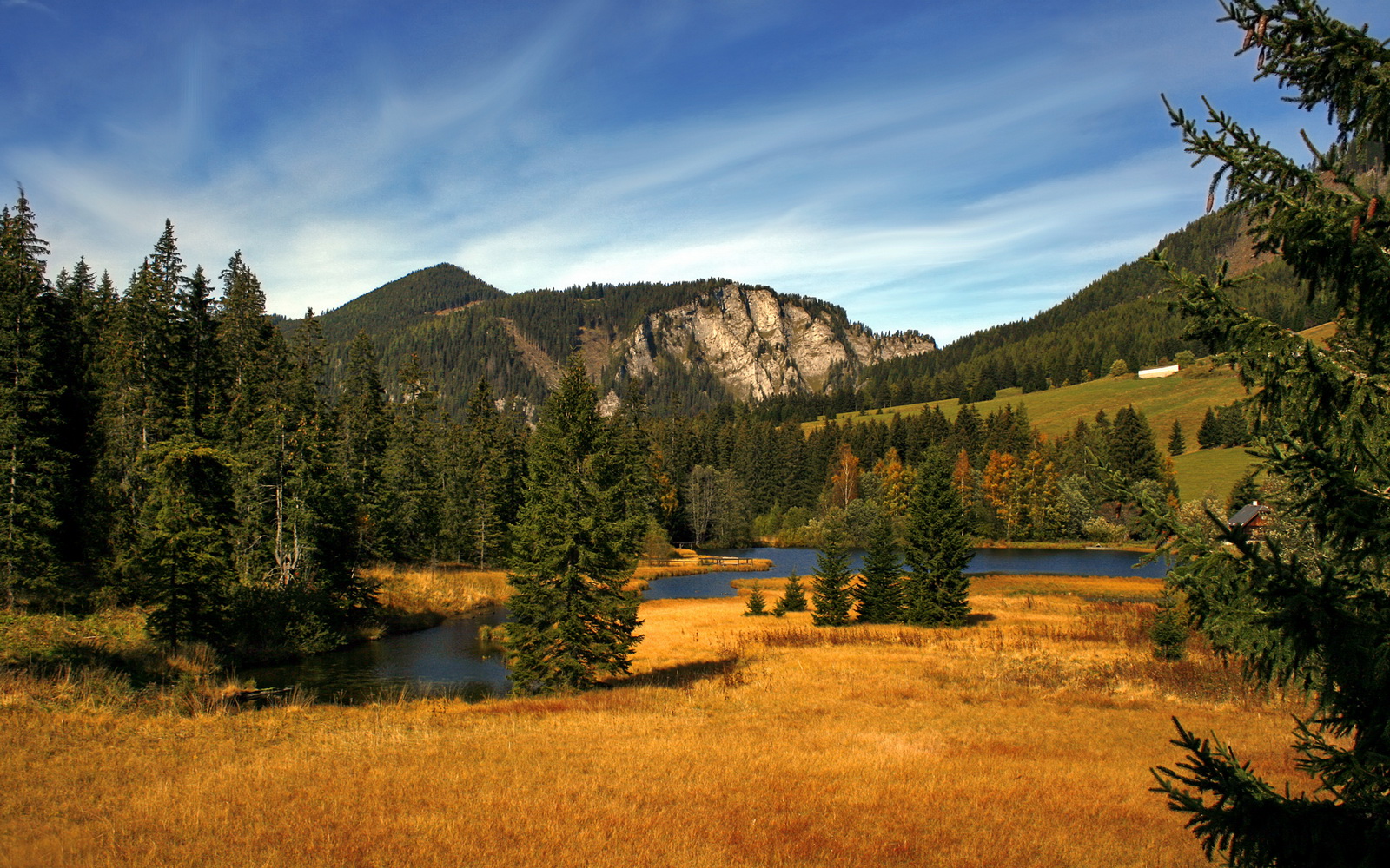 末节超神！浓眉独砍20分接管比赛，开拓者三核发力全面压制森林狼