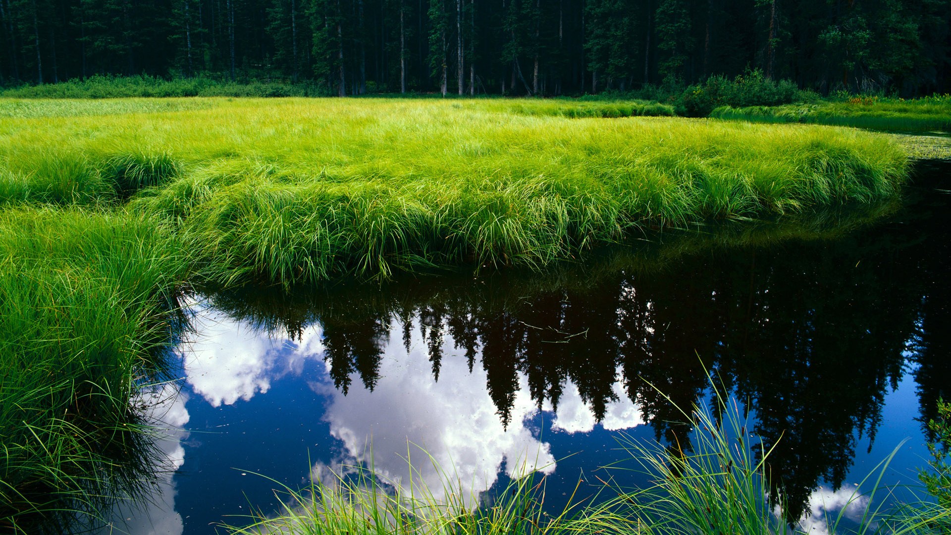 末节超神！浓眉独砍20分接管比赛，开拓者三核发力全面压制森林狼