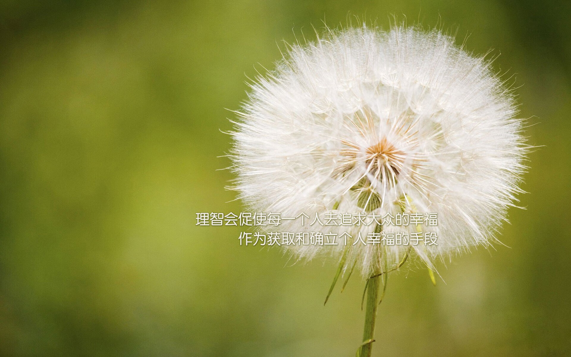 鹰击长空！杰伦·格林在纽约焦点战宣告自我证明