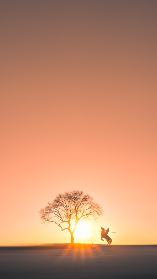 小球队的荣耀与巨星的黎明,当拉齐奥碾压曼城,富安健洋在德比中闪耀
