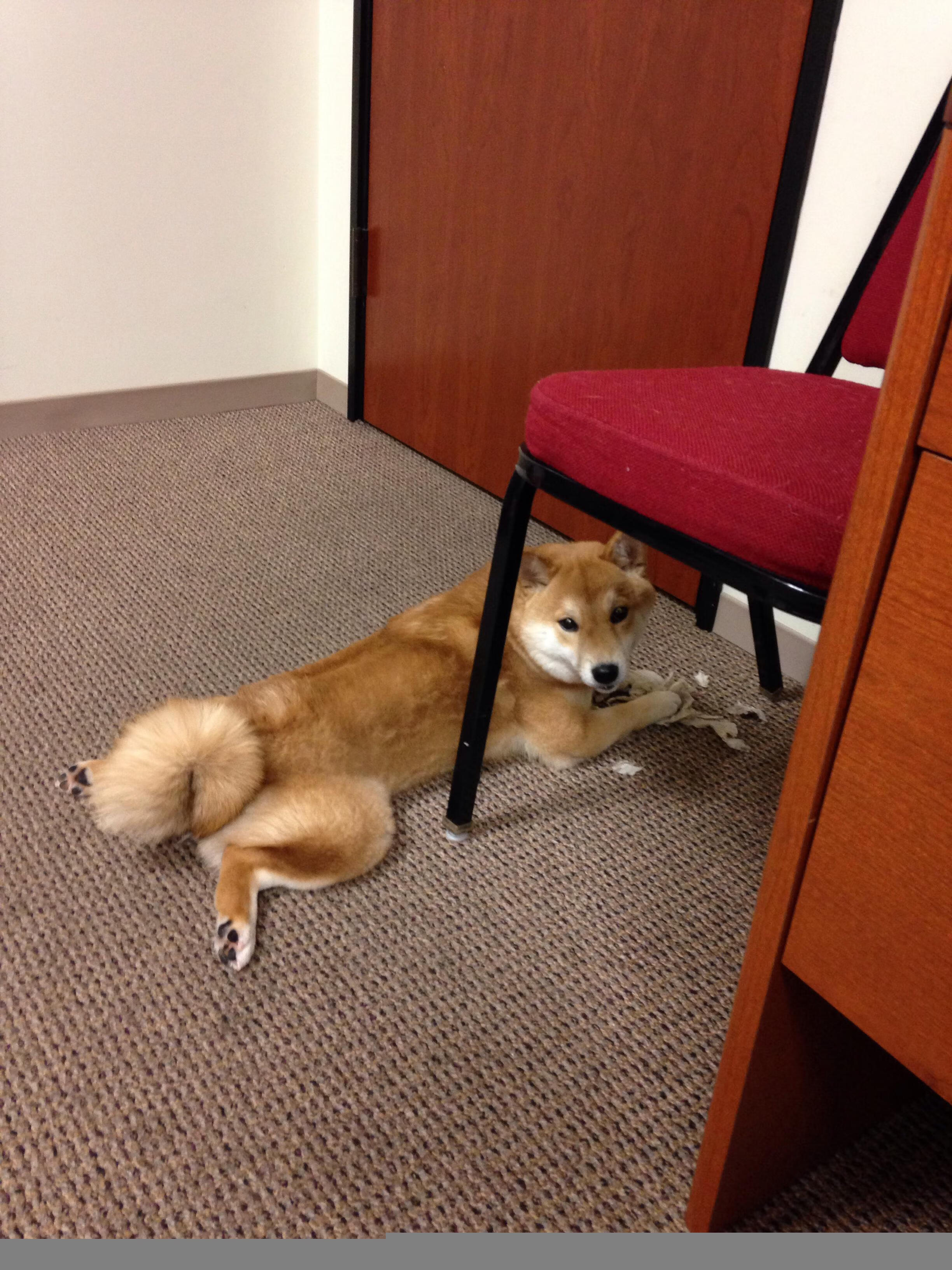 詹姆斯28+9主宰末节，热火强势晋级斩落老鹰