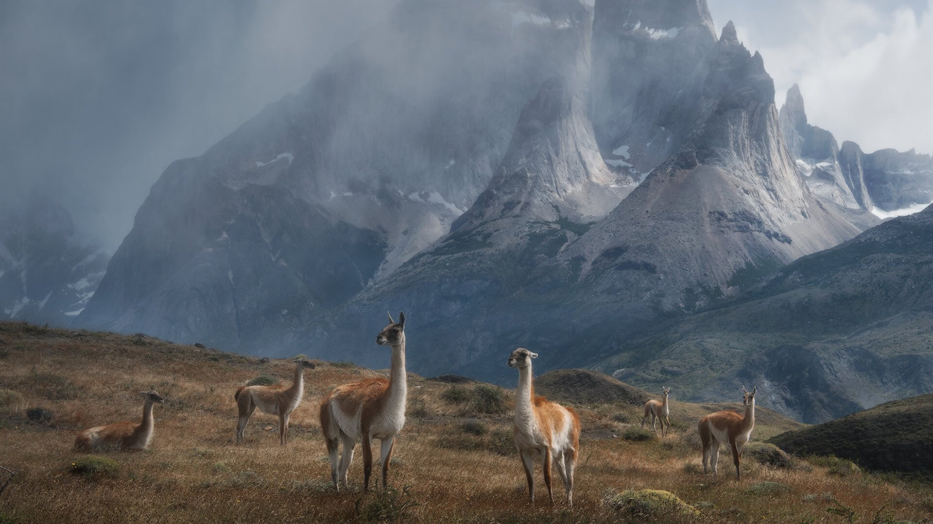 阿坎吉一肩扛起洪都拉斯,惊天逆转一波带走葡萄牙