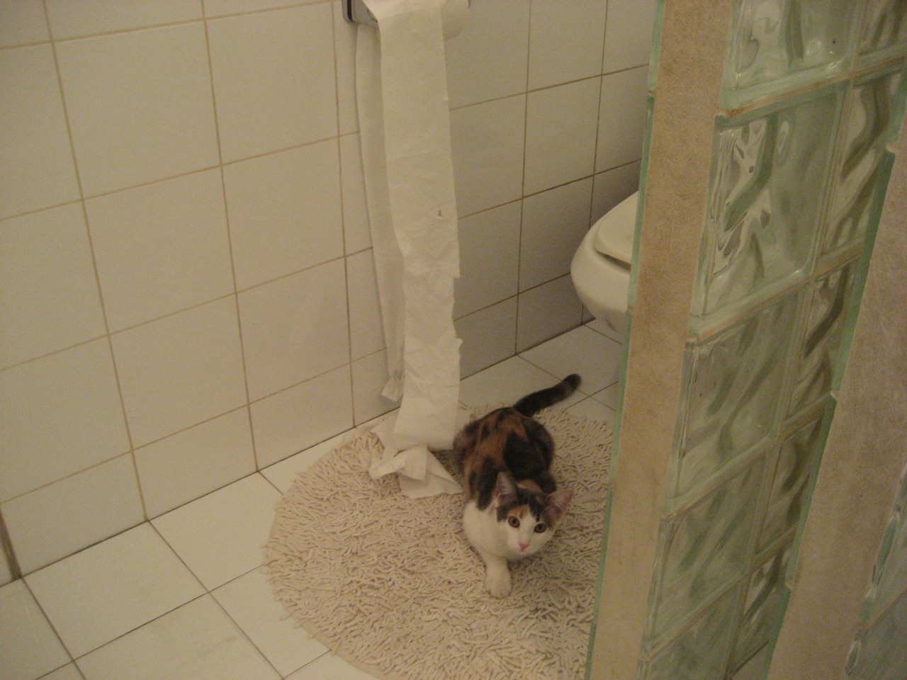 英雄的翅膀，当C罗在尼斯雨夜扛起整个国际米兰